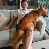Jonathan Huang